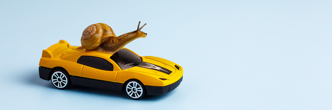 A snail on a toy racecar, symbolising the slow-down of the housing market with fewer properties coming to market