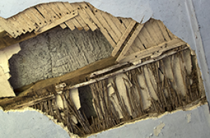 Lath and Wattle Example