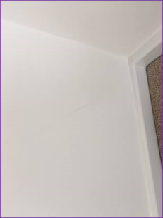 Wall Scuffs and Dents