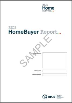 Download Example HomeBuyer Survey 