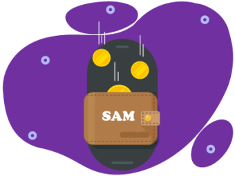 Three coins falling into a wallet with 'SAM' displayed on it. SAM Conveyancing explains options when buying a house with no deposit