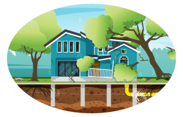 House with lots of defects which can be spotted during your house survey