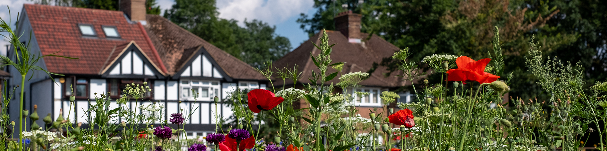 A Tudor house in a conservation area. SAM Conveyancing discuss the risks and benefits of buying a house in a conservation area