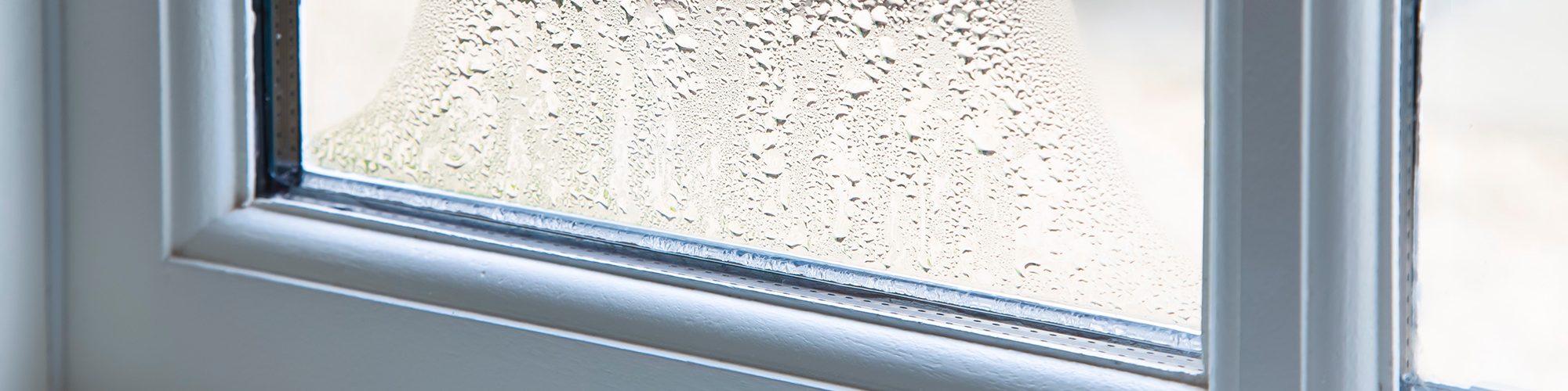 Can blown windows cause damp? SAM Conveyancing explains how to spot the signs