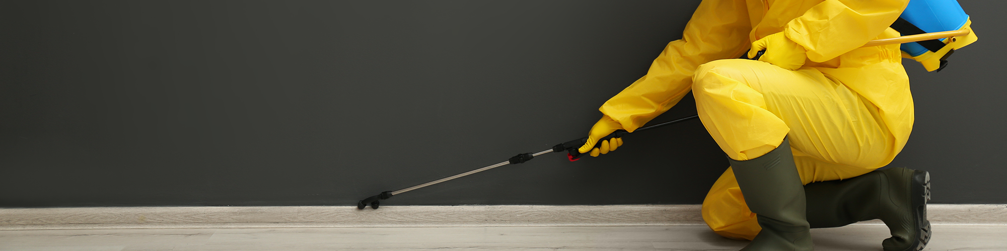 Professional wearing protective suit while doing a termite treatment. SAM Conveyancing's guide to selling a house with termite history