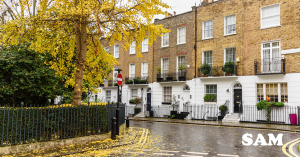 A picture of a London residential street in Autumn with leaves falling from tree