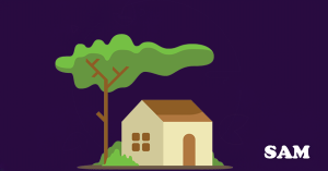 How to Buy a House with a Tree Preservation Order|SAM Conveyancing