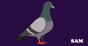 Does Pigeon Guano Cause Structural Damage? A Complete Guide