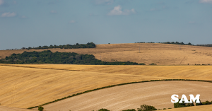 SAM Conveyancing's housing market report on the August summer slowdown in the property market