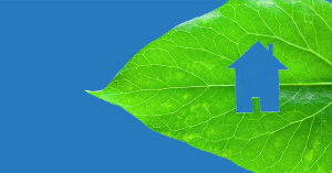 The shape of a house, cut from a green leaf, showing a blue sky behind. SAM Conveyancing's guide on How to Make Your Home More Energy Efficient The shape of a house, cut from a green leaf, showing a blue sky behind. SAM Conveyancing's guide on How to Make Your Home More Energy Efficient