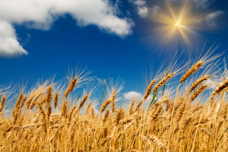 Property market to make hay whilst the sun shines Property market to make hay whilst the sun shines