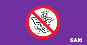 Japanese Knotweed Removal Japanese Knotweed Removal