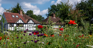 A Tudor house in a conservation area. SAM Conveyancing discuss the risks and benefits of buying a house in a conservation area