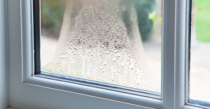 Can blown windows cause damp? SAM Conveyancing explains how to spot the signs Can blown windows cause damp? SAM Conveyancing explains how to spot the signs