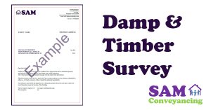 Damp and Timber Survey Damp and Timber Survey