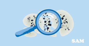 Do House Surveyors Check for Damp? Do House Surveyors Check for Damp?