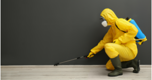 Professional wearing protective suit while doing a termite treatment. SAM Conveyancing's guide to selling a house with termite history