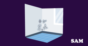 A wall with damp splatters on the wall, with a window to the right. SAM Conveyancing answers 'what is penetrating damp?' A wall with damp splatters on the wall, with a window to the right. SAM Conveyancing answers 'what is penetrating damp?'