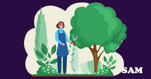 Tree Pruning Laws: Rights and Rules in England and Wales