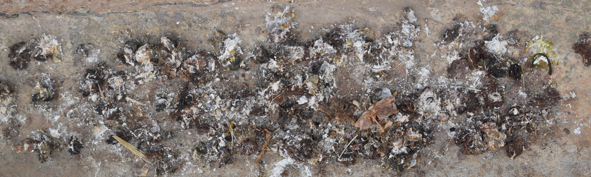 A picture of pigeon guano on a wall reflecting structural damage