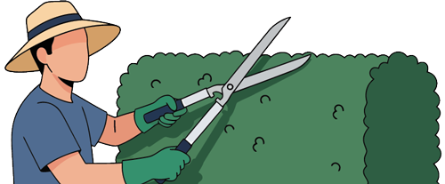 A man with a hat pruning a neighbour's hedge that is over 2 metres