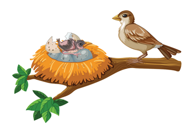 A sparrow and a bird nest on a tree branch with a baby chick so you cant prune the tree