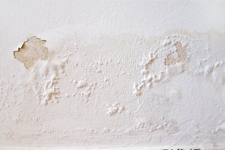 Blistered Plaster caused by penetrating damp