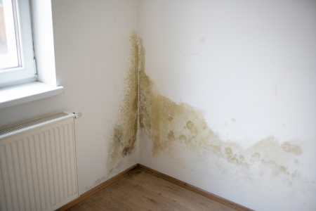 A surveyor using a device to identify damp in some timber. SAM Conveyancing explains treating penetrating damp