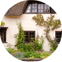 Vegetation growing in a raised bed, raising the ground level above the damp proof course, flagged in a RICS Home Survey from SAM Conveyancing