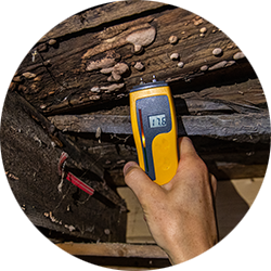 Timber being tested for damp in a Damp & Timber Survey from SAM Conveyancing