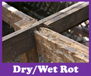 Dry and Wet Rot