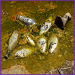 Environmental Matters