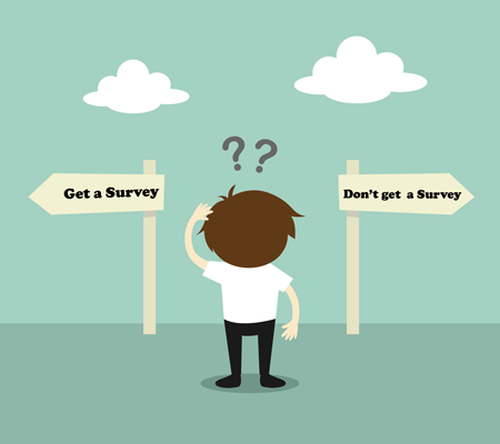 Homebuyers survey is it worth it