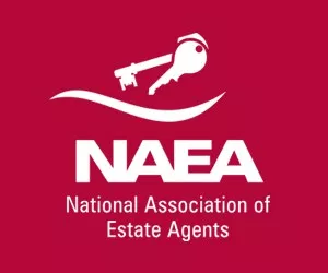 NAEA-logo.png