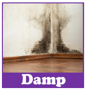 Rising Damp | House survey problems