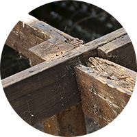 Wet and dry rot in structural timbers flagged in by a RICS Surveyor from SAM Conveyancing