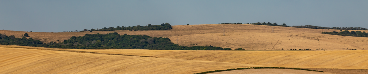 SAM Conveyancing's housing market report on the July summer slowdown in the property market