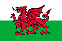 Small Wales Flag for Welsh stamp duty calculator