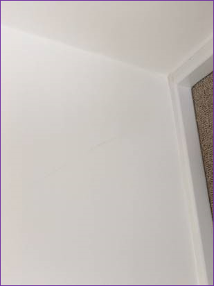 Snagging Survey Wall Scuffs and Dents