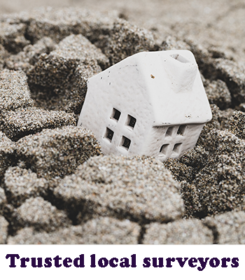 Trusted-Local-Surveyors.png