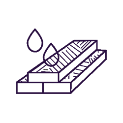 Specialist Damp and Timber Survey with SAM Conveyancing