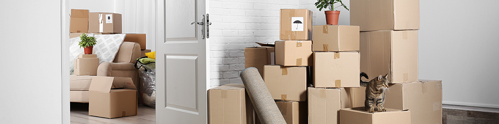 Property litigation solicitors for when seller left personal property in house, from SAM Conveyancing